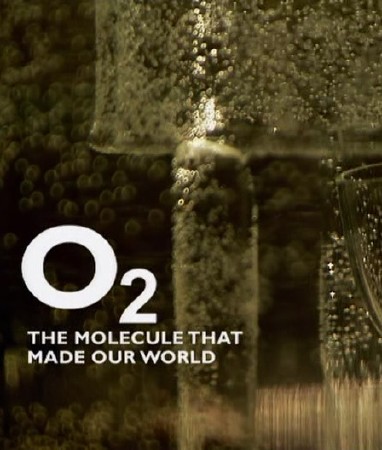 BBC. ,   / BBC. The Molecule that Made our World (2008) SATRip (AVC)