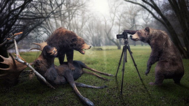 Фантастические фотографии животных