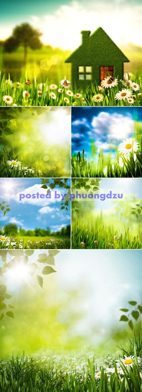 Stock Photo - Spring Backgrounds 5