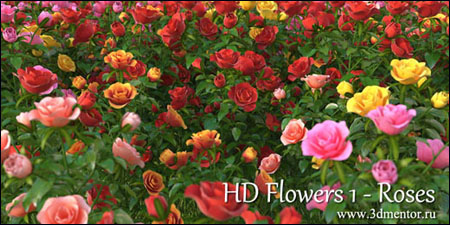 3DMentor HD Flowers vol 1 Roses