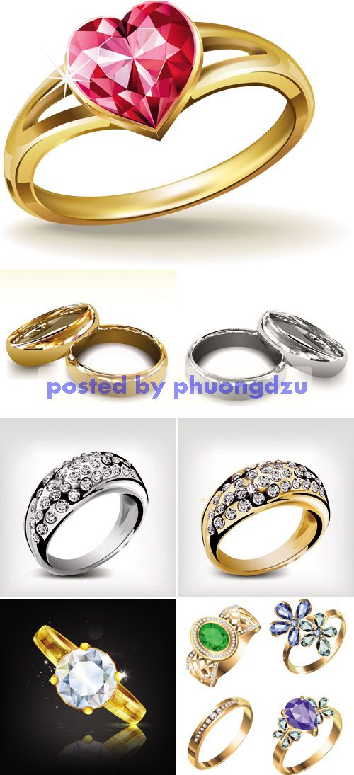 Golden & Silver Rings Vector 1
