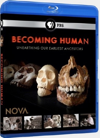 PBS. NOVA.   / Becoming human ( 1-3  3) (2009) BDRip