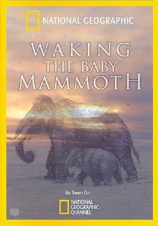 :    ( ) / Waking the Baby Mammoth (2009) HDTVRip (AVC)