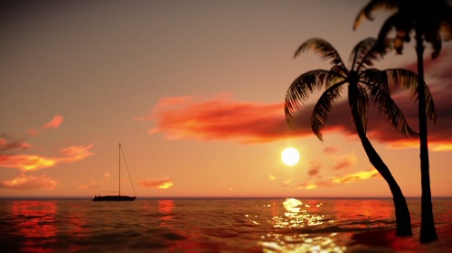  ,  HD / Palmtrees Sunset Time-Lapse HD