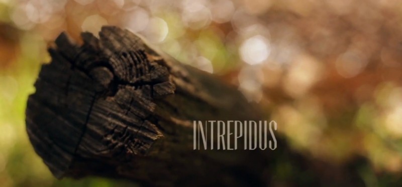 Бесстрашие / Intrepidus (видео)