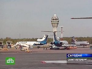 Над Киевом Boeing-737 столкнулся с птичьей стаей
