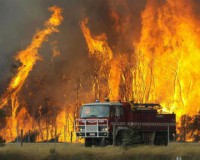 Из-за пожаров жители Австралии не видят света