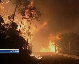 Франция: пожары уничтожают леса на побережье