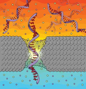 Совершен прорыв в нанотехнологичном секвенировании генов