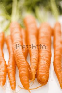 Оранжевый друг. Что мы знаем о моркови?
