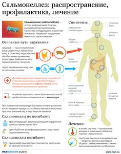 Шесть детей в детсаде Краснокамска заболели сальмонеллезом