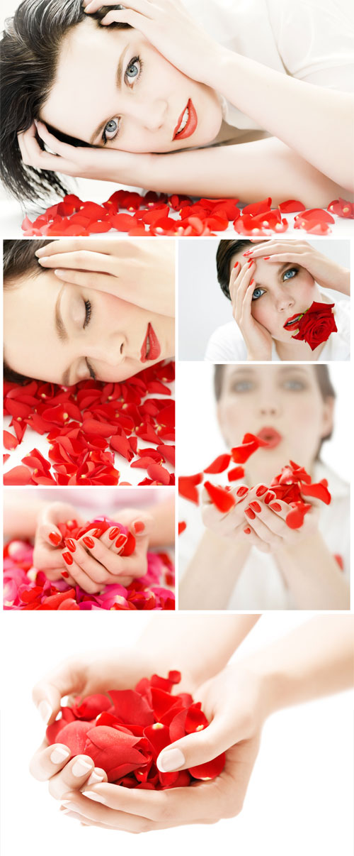 Beautiful woman and rose petals - Stock Photo