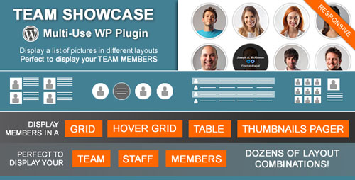 Download Team Showcase v1.3.8 - Codecanyon WordPress Plugin product picture