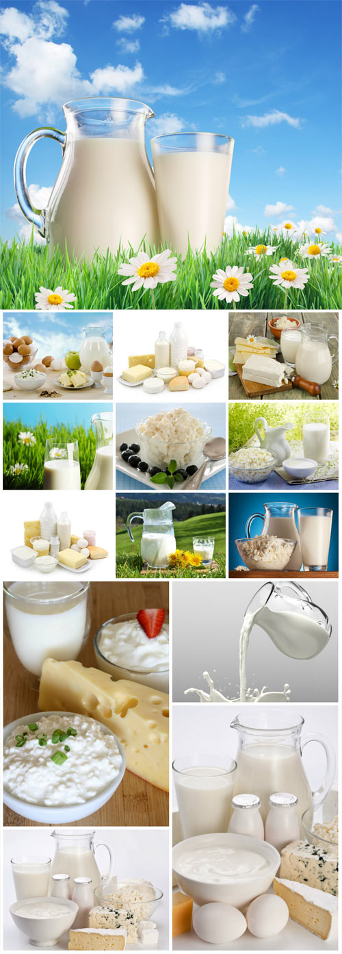 Milk and milk products - stock photos
