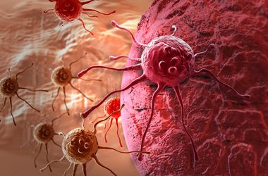 Ученые выяснили, как раковые клетки "путешествуют" по организму