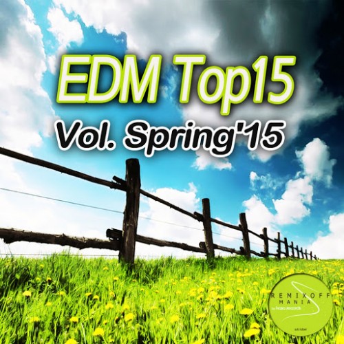 EDM Top 15 Vol. 15: Spring (2015)