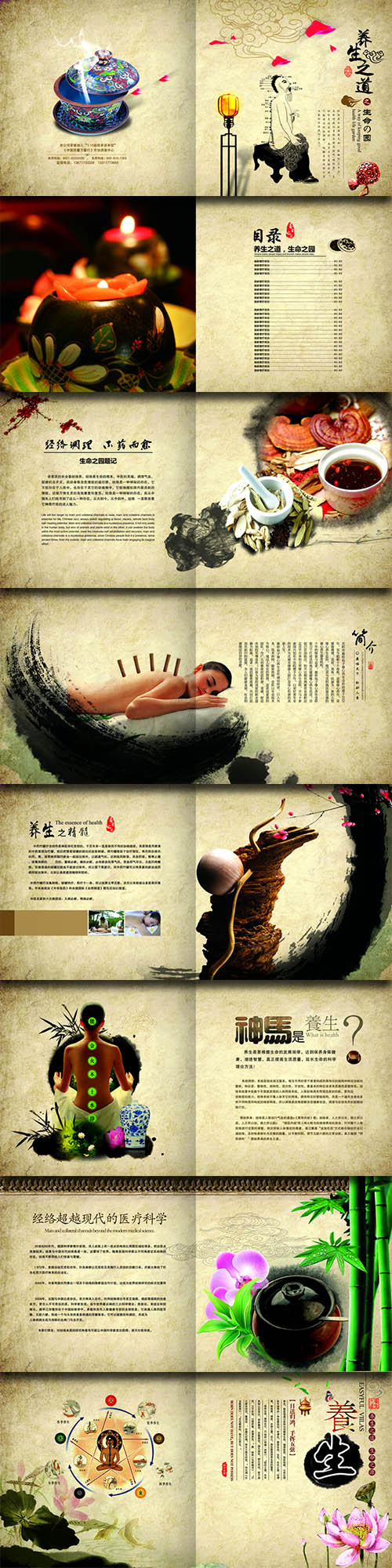 PSD Sources - Chinese Traditional Medicine #2