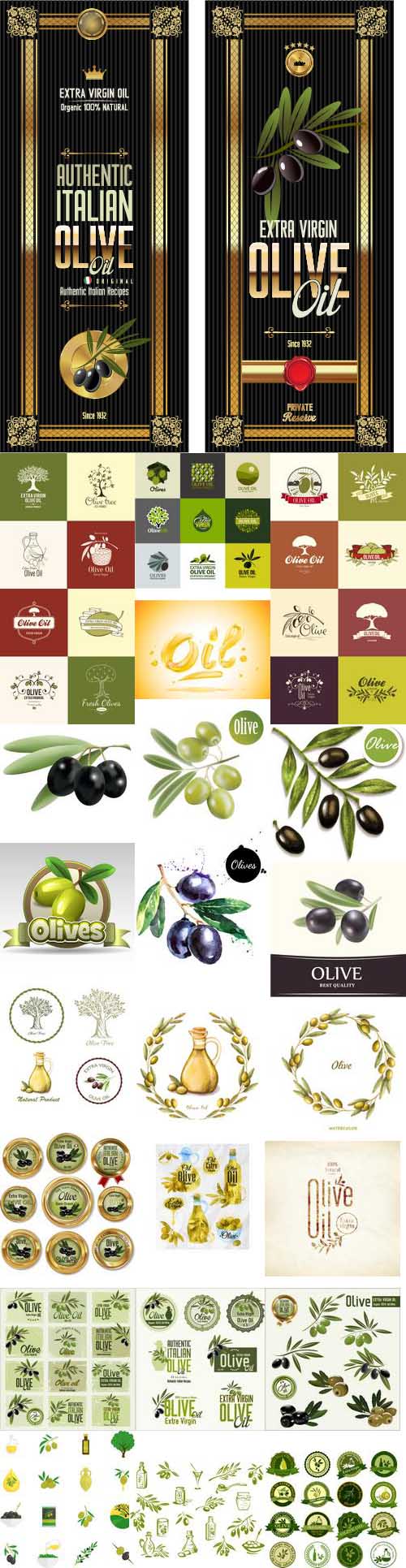 Olive Oil Design