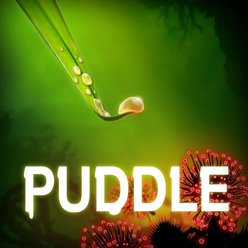 Puddle (2012/ENG/MULTi5) "PROPHET"