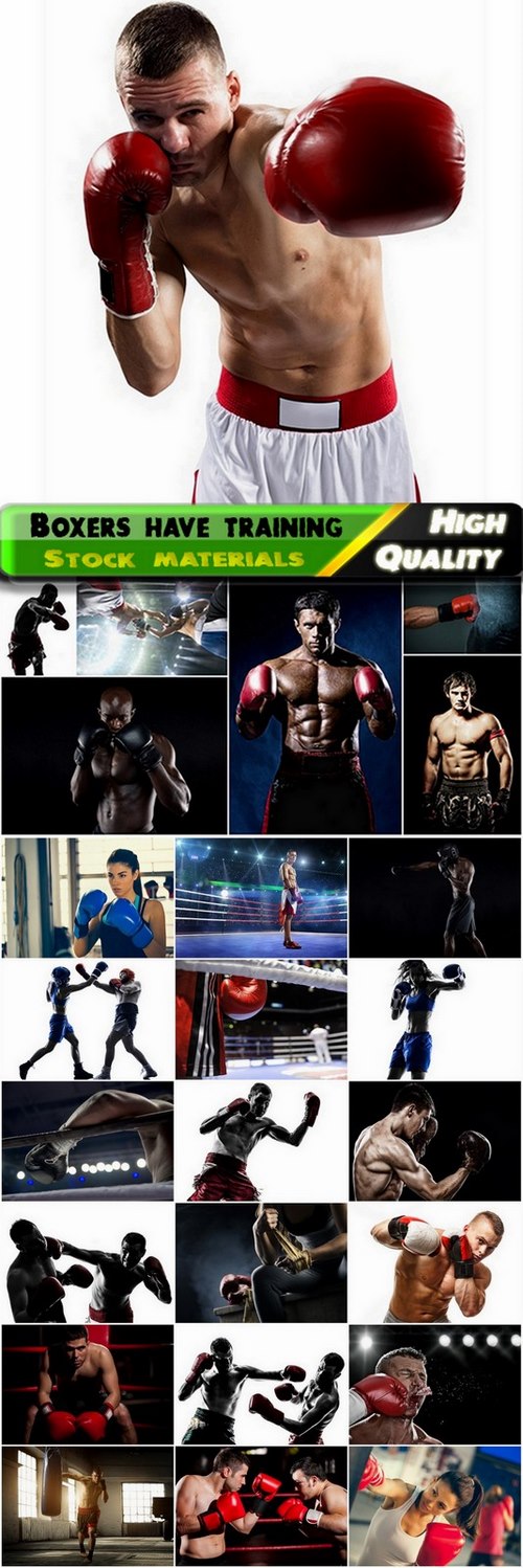 Martial arts and boxers involved training - 25 Eps