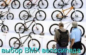     BMX  (2015) WebRip