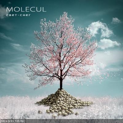 Molecul - Дискография