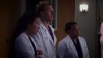 Анатомия страсти (Анатомия Грей) / Grey's Anatomy (10 сезон / 2013) WEB-DLRip