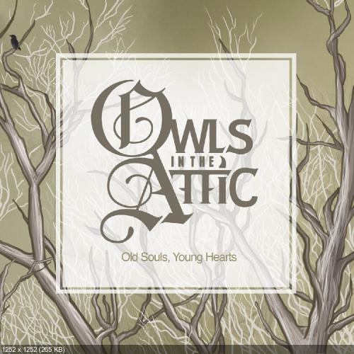 Owls in the Attic – Don't Look Down (Single) (2014)