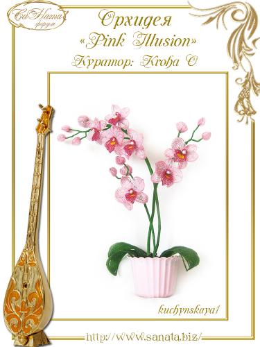Выпуск работ Факультета: Орхидея "Pink Illusion" 188e5d211f5619f317b74b13d10bca8f