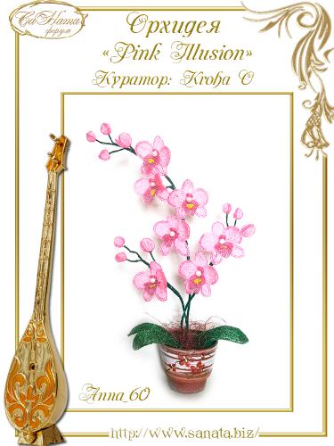 Выпуск работ Факультета: Орхидея "Pink Illusion" 7d7027f7ce12b567a0ea4231bf1f82cf