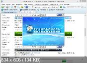 SlimBrowser 7.00 Build 130 - веб браузер