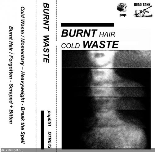 Cold Waste & Burnt Hair - Burnt Waste [Split] (2015)