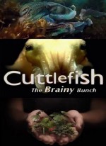   / Cuttlefish the Brainy Bunch (2006) SATRip