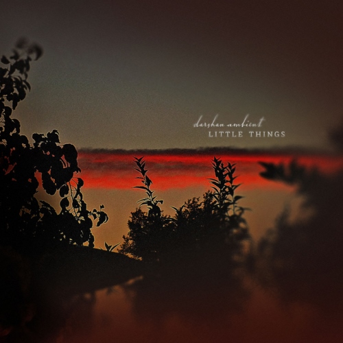 Darshan Ambient – Little Things (2013)
