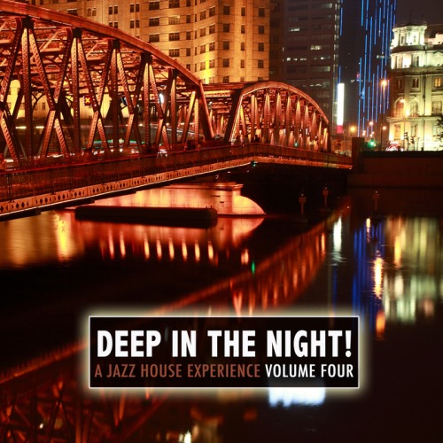 VA - Deep in the Night!, Vol.4 - A Jazz House Experience (2013)