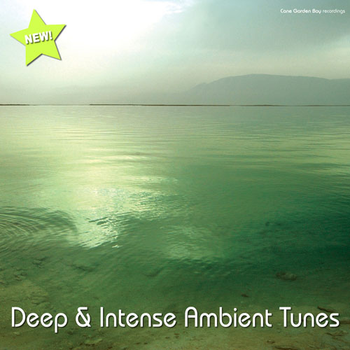 VA - Deep and Intense Ambient Tunes (2013)