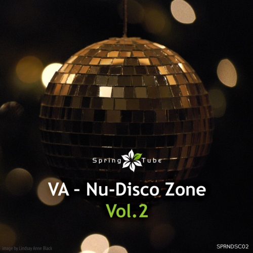 VA - Nu Disco Zone, Vol. 2 (2013)