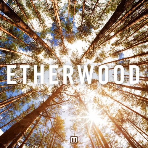Etherwood - Etherwood (Hospital Records Ltd) 2013