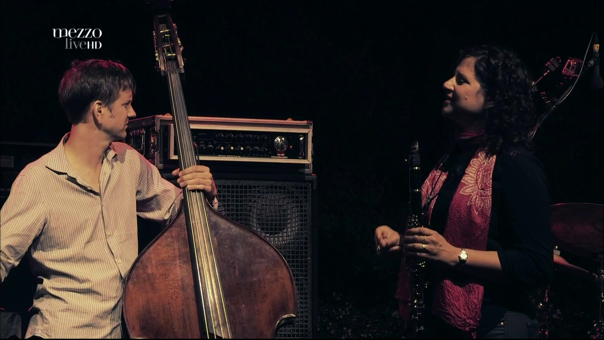 2013 Anat Cohen Quartet - At Istanbul Jazz Festival [HDTV 1080p] 8