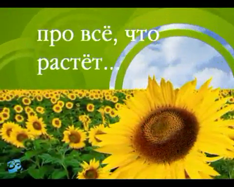 http://i58.fastpic.ru/big/2013/1202/10/b10cdf1a82e2710cfc95a1b7af103710.png