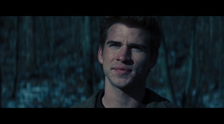  :    / The Hunger Games: Catching Fire (2013) HDRip | BDRip 720p | BDRip 1080p